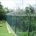 Concertina Razor Wire With Clips Razor Barbed Wire